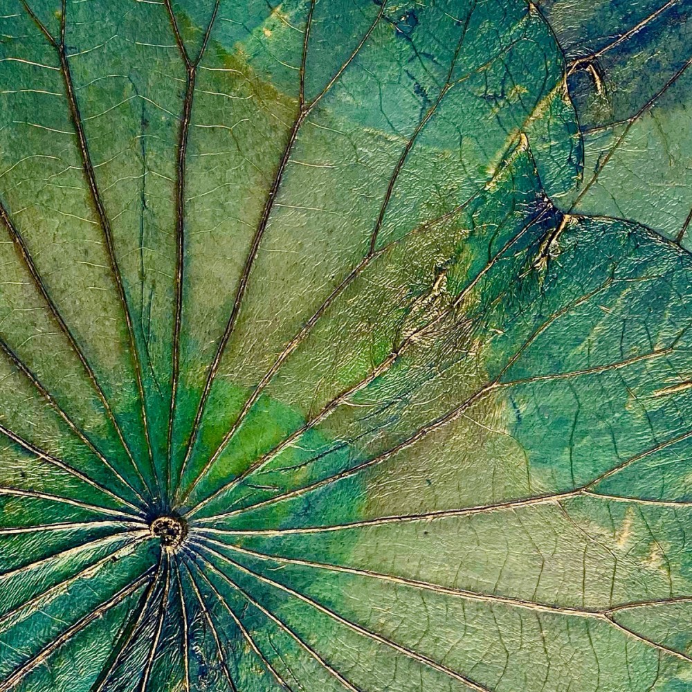 Wanddekor Lotus, grün - ca. 30x30x4 cm